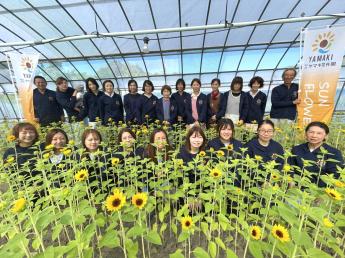 ひまわりとストックに囲まれて働きませんか？ 若い代表とともに、会社の未来を築いていく仲間を募集！ 太陽の花ひまわりのように周りを明るく照らしていける会社を目指して、「人」を大切に花の生産をしています♪  