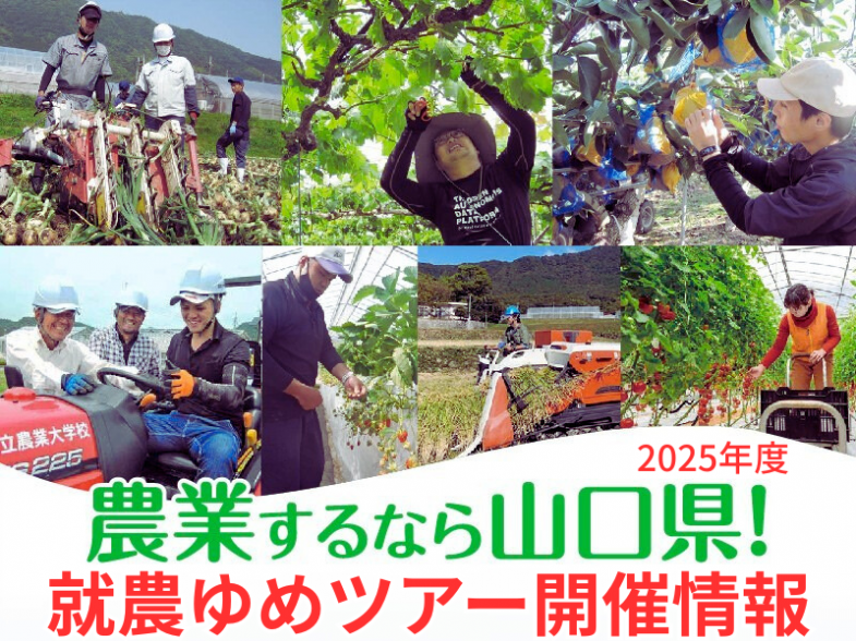 「担い手支援日本一」を掲げた、全国トップクラスの支援制度が魅力の山口県があなたの就農を全力サポート！まずは「就農ゆめツアー」から始めてみませんか？