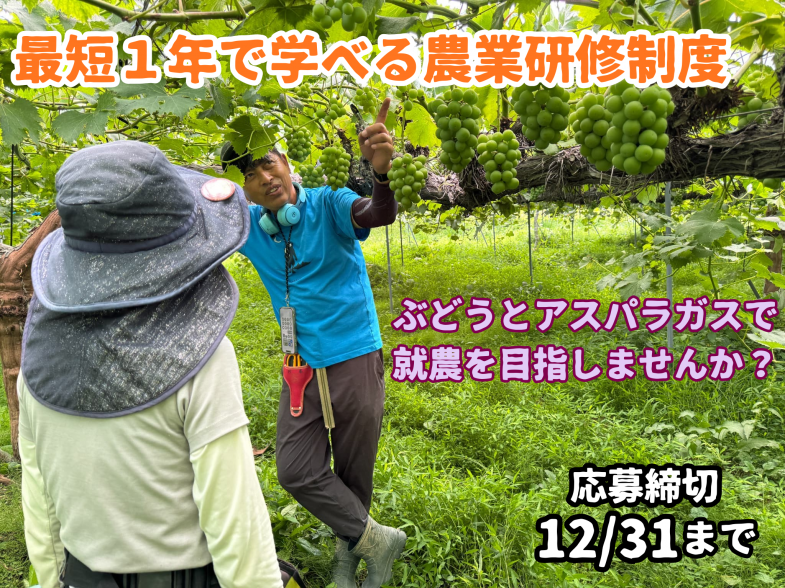 豊かな自然に恵まれた世羅町で、あなたの夢をカタチにしませんか？特産品の「ぶどう」と「アスパラガス」の新規就農研修生を募集しています。将来的に世羅町で独立・自営就農を目指す方を全力でサポートいたします！