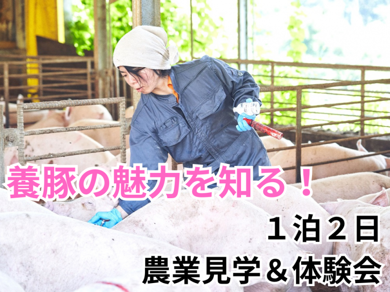 養豚の仕事の面白さを見つけにいらっしゃいませんか？ 1日半の農場見学＆インターン開催