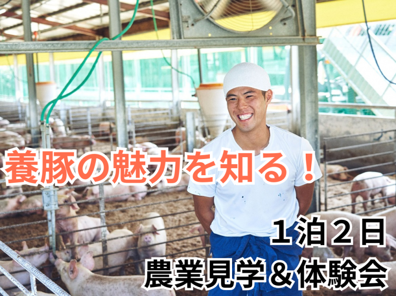 養豚の仕事の面白さを見つけにいらっしゃいませんか？ 1日半の農場見学＆インターン開催