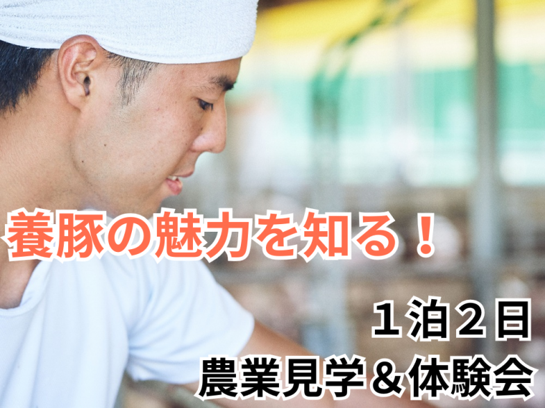 養豚の仕事の面白さを見つけにいらっしゃいませんか？ 1日半の農場見学＆インターン開催