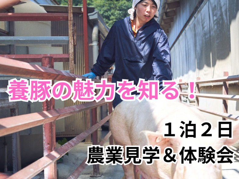 養豚の仕事の面白さを見つけにいらっしゃいませんか？ 1日半の農場見学＆インターン開催