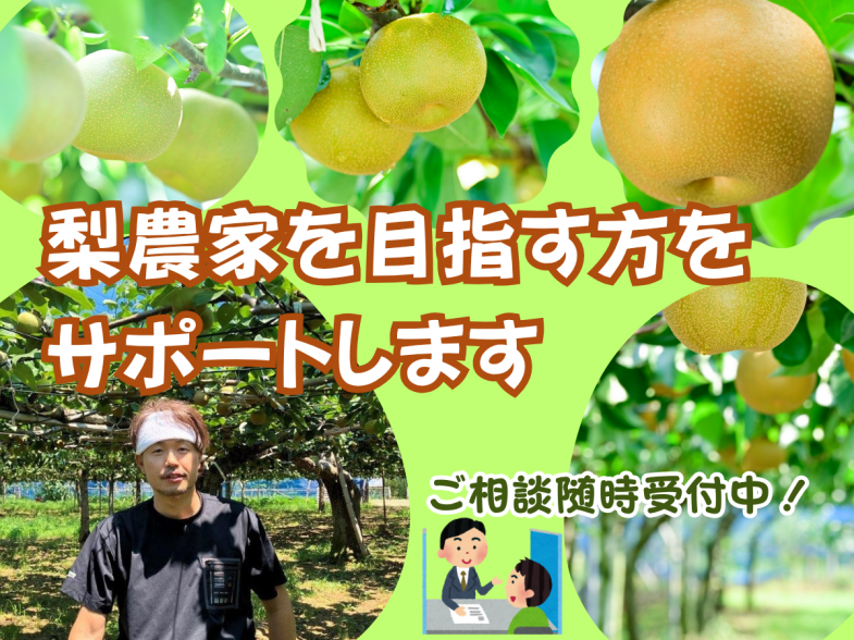千葉県は全国一の梨生産県です。千葉県ではあなたの梨づくりへの挑戦を支える「千葉県梨ワンストップ窓口」を開設！ 「梨農家になりたい」「梨農家で働きたい」あなたを全力でサポートします！