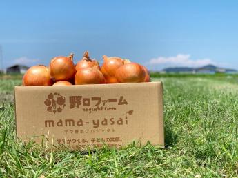 淡路島で仲間たちとともに「子どもが笑顔になる野菜」を一緒に届けませんか？ ◎フルタイムアルバイト・パート同時募集（週3日～、1日4時間～OK） ◎ダブルワーク希望者も歓迎！