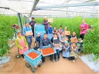 高糖度の極上トマトの栽培技術を活かして『いちご』の栽培をスタート 私たちと一緒に新たな挑戦の一歩を踏み出しませんか？ ◎希少品種の栽培や加工品販売も♪