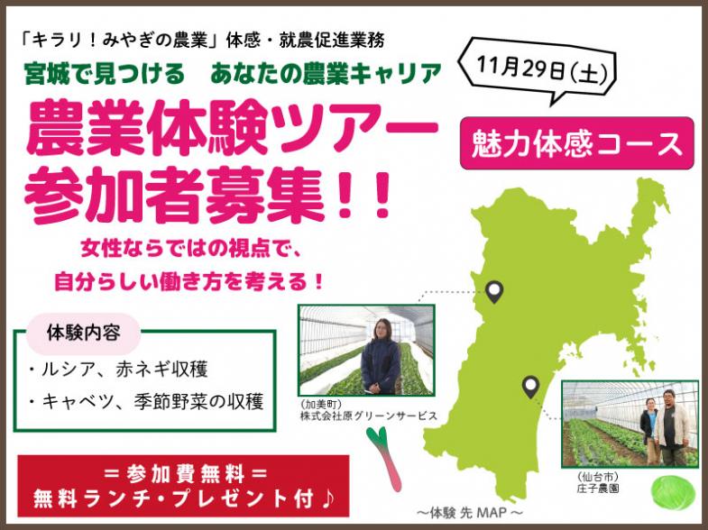 １日限りの農業体験ツアー開催！参加費無料！ 〈魅力体感コース〉 女性が活躍中の農家のもとで体験を通じて自分らしい農業との関わり方について考えてみませんか？