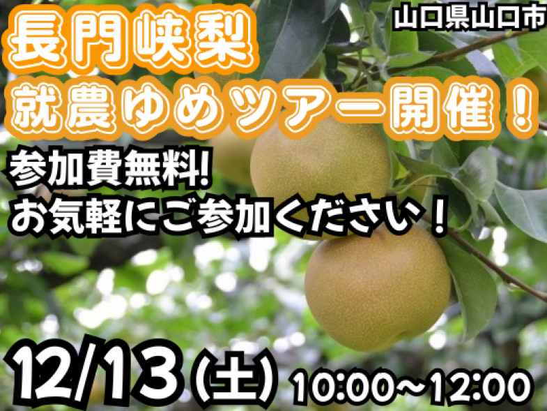 高い糖度が自慢の長門峡梨の産地見学＆生産者との交流会を開催いたします！新規就農を目指すきっかけを見つけにいきませんか？