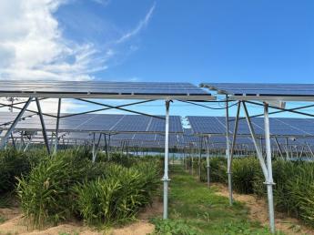 安定した経営基盤で未来の農業に挑む！農業でありながらサラリーマン的な働き方が可能です！ 「農業」×「発電」という新たなフィールドで就農を目指してみませんか？