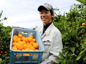 12月1日～20日頃まで！地元の特産品でもある「青島みかん」の収穫や運搬のお手伝いをお願いします！ 勤務時間・勤務日数はご相談OK！