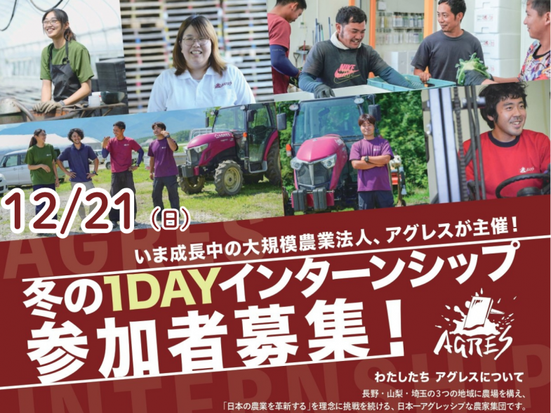 季節はブロッコリー・白菜の収穫最盛期！ 1日限りのインターンシップで「農業のリアル」を体感し、農業法人への就職・転職について考えてみませんか？ ◎交通費上限１万円支給あり
