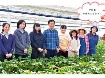 \\期間限定アルバイト・パート 3~4名募集// 土作りから出荷までこだわりぬいたいちごを生産しています! 朝の収穫をお手伝いをしてくれる方を募集します お客様に最高に美味しいいちごを届ける楽しさを一緒に味わいませんか?