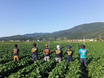 ☆青豆（枝豆）の生産量、長野県No.1☆ 未来を切り拓く農業法人で「日本のてっぺん」を目指してみませんか？ 未経験からスタートしたスタッフが温かくお迎えします！