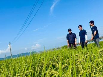 2025年に熊本県で新たにスタートした「サンマルクグループ」の農業事業会社で農業生産・経営の中核メンバーを募集します！ 安定した条件のもとで、これまでのご経験を活かしながら思いっきり大規模農業に挑戦しませんか？