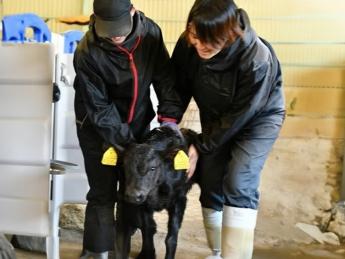 西郷村の土地を、酪農の力で次世代へ 一連の流れを自ら手掛けるからこそ味わえる『酪農の面白さ』を体感してみませんか？ 次代の経営を担っていただけるような、熱意ある方との出会いを求めています！