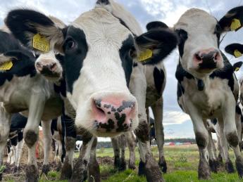 牛を大切にするために、まずは働く人としっかり向き合います！ 未経験の方大歓迎！（経験者ももちろん歓迎！） 牛と仲良くなるところから始めましょう！ ◎社宅あり　◎車貸し出し可　◎月8日休み