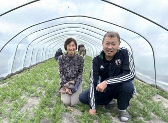 3月10日~5月20日頃までの期間限定アルバイト! 日本一の「春にんじん」生産地で、収穫に関わるお手伝いをお願いします! ◎限定2名募集 ◎寮あり(Wi-Fi完備)