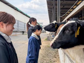 最新技術と昔ながらの放牧を両立した日本屈指のメガファーム 牛を第一に考えた日本一の「牛ファースト」な環境で、酪農の未来を創りませんか？