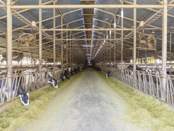 最新テクノロジー×愛情で挑む次世代酪農 「牛」に「人」に“温かみ”のある企業酪農を目指しています！ 新しい酪農のカタチを、一緒に創造していただける仲間を募集しています！