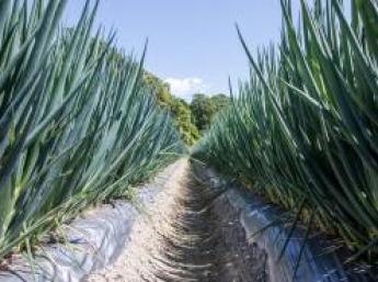 「究極のメリハリ」がここにあります！ 冬の時期は約60日間の長期休暇でリフレッシュ！ 若手が主役の活気ある職場で、仲間と共に成長してみませんか？ ◎長期休暇中も給与の支給あり