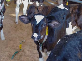 住みたい田舎の大田市から発信する次世代酪農 最新技術で「経験」ではなく「データ」で支える酪農を始めてみませんか？ ◎単身寮完備、手当も充実