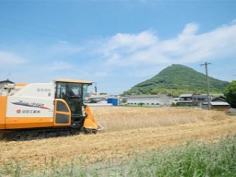 賑やかな先輩たちが、ときには茶化し、ときには真剣に、しっかり教えていきます! 最高の仲間たちと、香川県最大級のフィールドで農業しませんか? 「儲ける農業から、喜ばれる農業へ」。