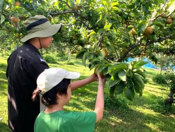熊本最大級の観光農園で、四季を感じながら働きませんか？ 植物を育てる喜びと、接客の楽しさどちらにも興味のある方お待ちしています！ ◎未経験の主婦（夫）さん活躍中！週3日〜、シフト相談OK！