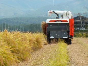 地域を動かす圧倒的なスケール感 900軒の農家と連携し、農業だけにとどまらない地域の課題解決を担う人材募集！地域に根差し、地域の農業の発展のためにご活躍いただける方をお待ちしています！ ◎将来農業で独立を目指される方も歓迎！