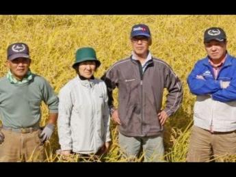 お米づくりを、もっとスマートに。秋田の伝統をデジタルで進化させる、新しい農業のカタチ 未経験から「食のインフラ」を支えるプロへ。若手代表と共に、5年で3倍の規模を目指す成長チームの仲間募集！