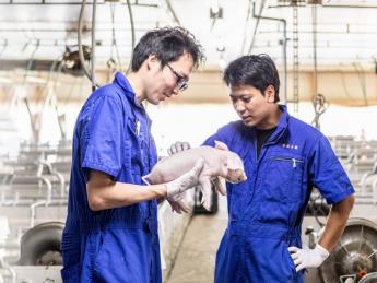 長野に根ざし、養豚の未来を創る。私生活もキャリアも、妥協しない選択を 独自のシステムと手厚い手当で新しい挑戦を支えます！ 年間休日107日でオフも充実！アウトドア派に最適な環境です！