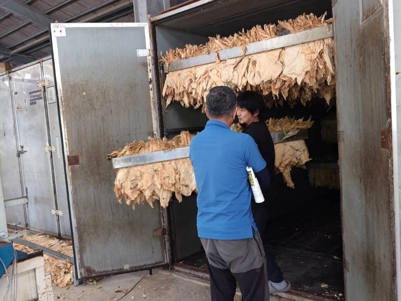 ＼即日～2026年7月上旬までの期間限定アルバイト 10名募集／ 石垣島産の葉たばこを乾燥して出荷するお仕事のお手伝いをお願いします。海遊びも楽しめる季節を迎えた石垣島で、約2か月働きませんか？ ○住み込み寮あり ○車貸出あり ○週休1～2日