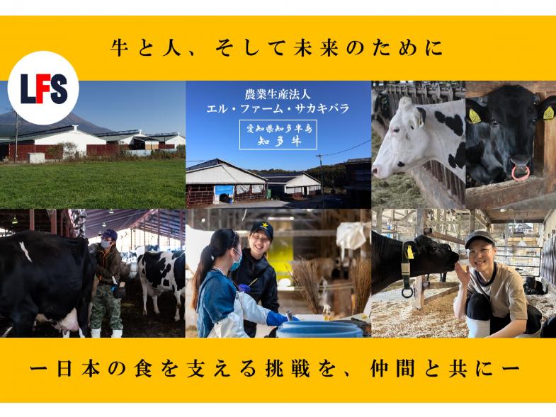 現場の“ありがとう”が直接届く、牧場のバックオフィススタッフ募集！事務仕事をメインにしながら、牧場の現場サポートで牛と触れ合うことができるポジションです！ずっと画面を見るだけのデスクワーク、そろそろ卒業しませんか？