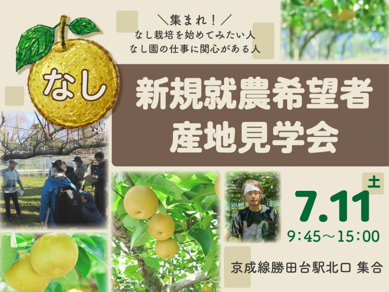 全国一のなし生産県「千葉県」の、なし農家を見学しに行きませんか？ なし栽培に興味・関心のある方を対象に、バスツアーを開催！ 先輩就農者のなし園の見学・お話が直接聞けるチャンス！