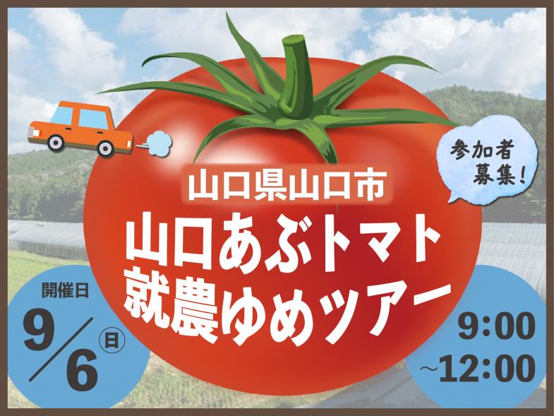 9/6（日）山口あぶトマトの産地見学＆収穫体験＆農家さんとの交流会を開催します！ 「見て」、「体験して」、「聞いて」新規就農の可能性を模索してみませんか？ ◎参加費無料 ◎県外から参加の方は交通費の補助制度あり（※要件あり）