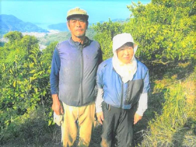 「みかん農家になりたい」 その想い、まずは半年間のみかんアルバイトから始めてみませんか？ ご夫婦・カップルで将来就農を希望される方は、十分サポートいたします！ 11月5日～12月20日頃までの短期アルバイト募集