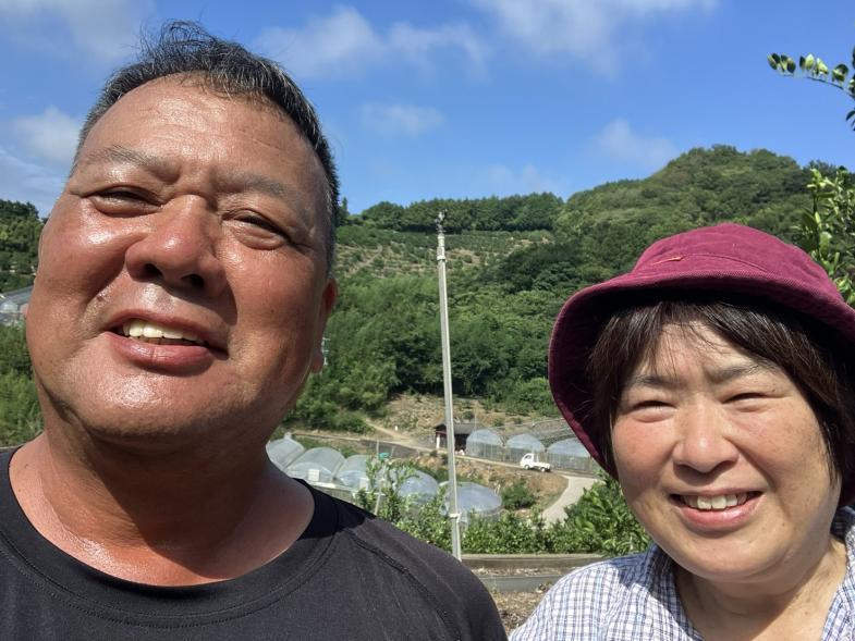こだわって作っている美味しいみかん!!3代目40年みかん農家をやってきましたが、今年は初めての応募になります!ご近所のパートさんと私たち家族と一緒にお仕事しませんか? ◎みかんの収穫&運搬担当2名 募集