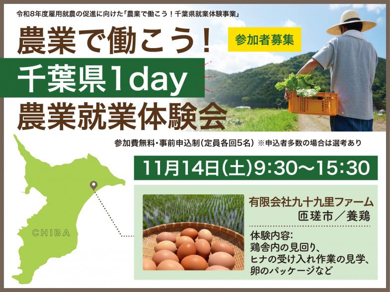 養鶏の仕事の一端に触れる、貴重な体験です。 ヒヨコの育成から卵の生産、加工、販売まで一貫して手掛ける九十九里ファームで、養鶏の仕事への理解を深めてみませんか？