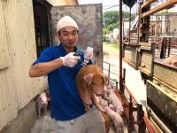曽我の屋農興株式会社（栃木県那須町/養豚）従業員インタビュー　